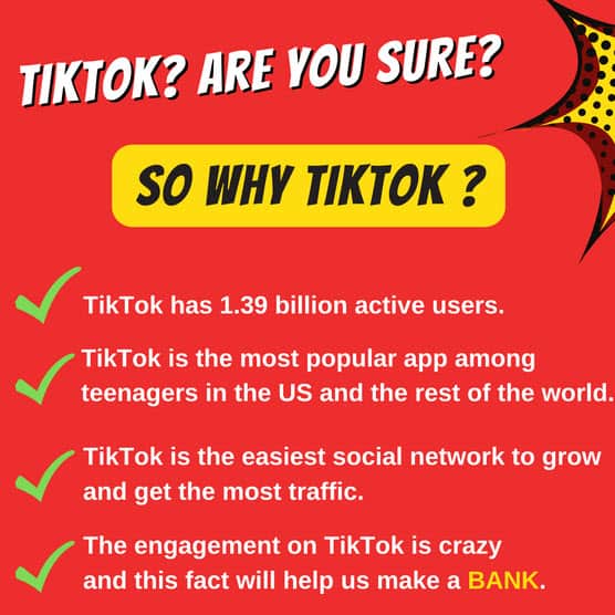 How To Drive Traffic And Make Money With Tiktok