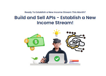Build And Sell Apis Establish A New Income Stream!